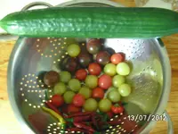 BILD1146.webp