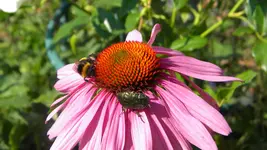 DSCN3283.webp