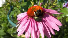 DSCN3284.webp