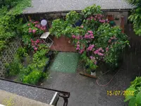Hagel 100_1106 (Large).webp