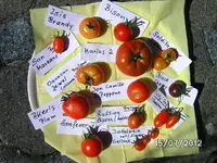 BILD0128.webp