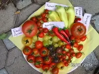 BILD0141.webp