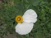 012.webp