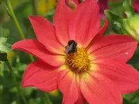 108.webp