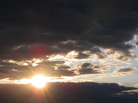 16.07.webp