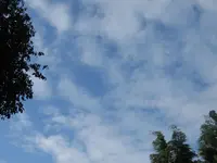 Himmlisch im Juli 2012 001.webp