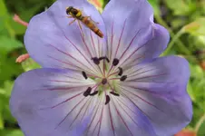 2012_0713Sommer0071.webp