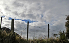 Copy of IMG_1979 v.webp