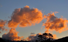 Copy of IMG_2209 v.webp