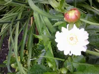 Foto0303.webp