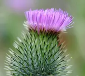 IMG_1488.webp