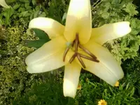 Foto0368.webp