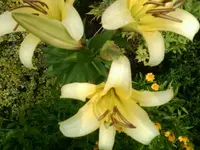 Foto0369.webp