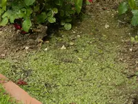 DSCN1824.webp