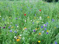 003 15.07.12.webp