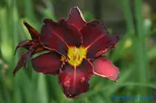 comp_DSC08279.webp