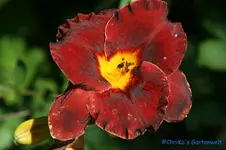 comp_DSC08280.webp