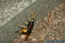 comp_DSC08263.webp