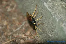 comp_DSC08264.webp