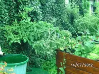 k-BILD1147.webp