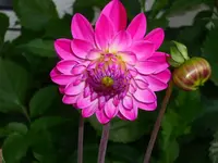 DSCI1456.webp