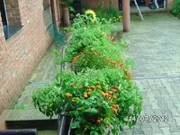 k-BILD1159.webp