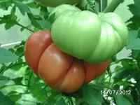 k-BILD1151.webp