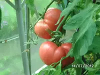 k-BILD1154.webp