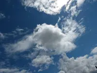 P1060373.webp