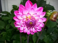 DSCI1475.webp