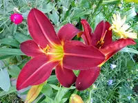 037.webp