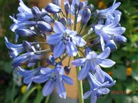 CIMG1146.webp