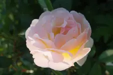 2012_0708Sommer0035.webp