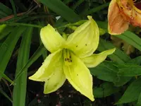 IMG_burried treasure1_1024x768.webp
