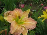 IMG_fragezeichen2_1024x768.webp