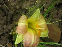 IMG_stengel_1024x768.webp