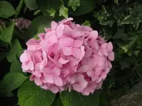 024.webp