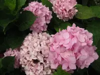 025.webp