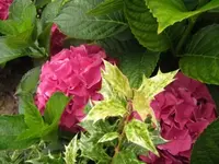 023.webp