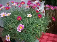 100_3183.webp