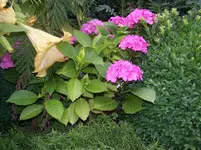 100_3185.webp