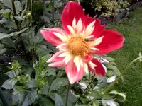 Foto0426.webp