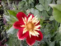 Foto0427.webp