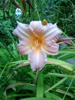Foto0448.webp