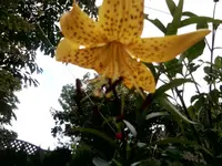 Foto0418.webp