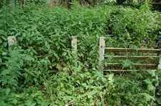 DSC_5510.webp