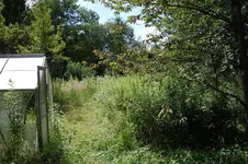 DSC_5515.webp