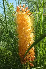 2012_0718Sommer0005.webp
