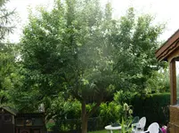 SN854118.webp