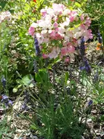 DSC07007.webp